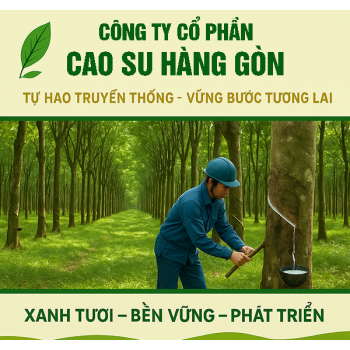 Giới Thiệu Sơ Lược Về Công Ty
