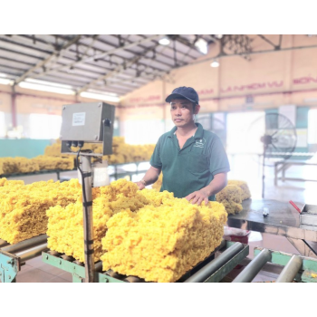 Hình Ảnh Nhà Máy Chế Biến