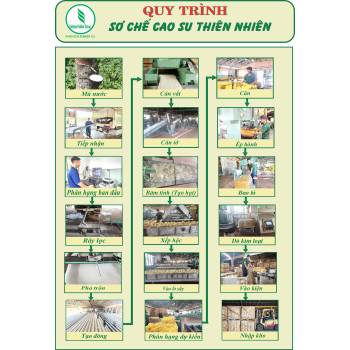 Quy Trình Sơ Chế