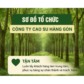 Sơ Đồ Tổ Chức Công Ty