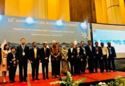  Giải pháp thích ứng toàn diện cho chuỗi giá trị cao su bền vững