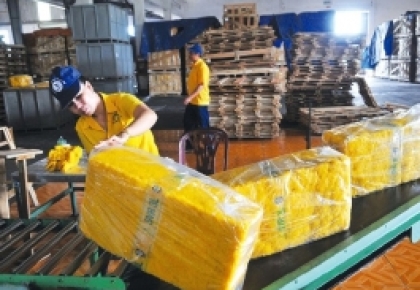 Xuất khẩu cao su tháng 9 tăng gần 53% về lượng 