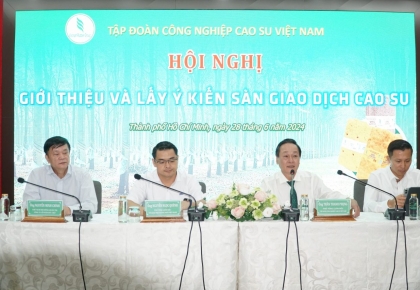 Ông Trần Thanh Phụng – Phó TGĐ VRG: “Thị trường cao su phục hồi tích cực giai đoạn 2025 – 2030″