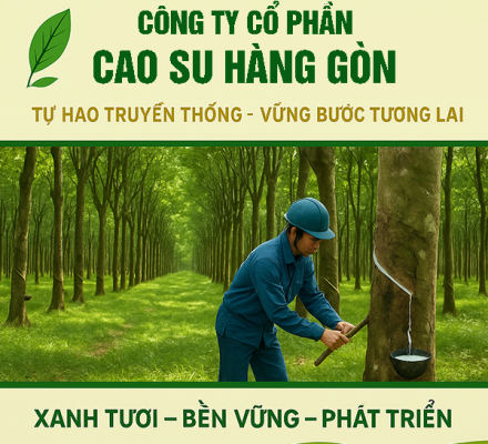 Giới Thiệu Sơ Lược Về Công Ty