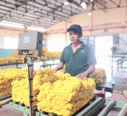 Hình Ảnh Nhà Máy Chế Biến