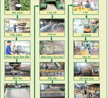 Quy Trình Sơ Chế