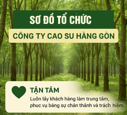 Sơ Đồ Tổ Chức Công Ty