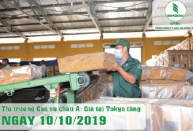 10-10-2019 - Thị trường Cao su châu Á: Giá tại Tokyo tăng