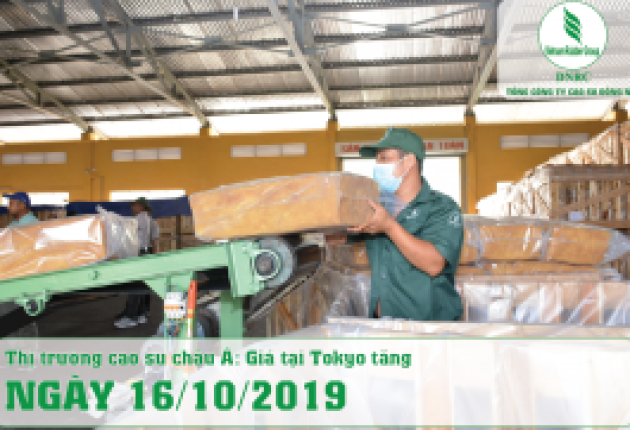 16-10-2019 - Thị trường Cao su Châu Á ngày : Giá tại Tokyo tăng