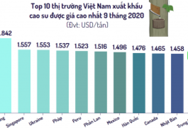 Top 10 thị trường Việt Nam xuất khẩu cao su nhiều nhất 9 tháng đầu năm 2020