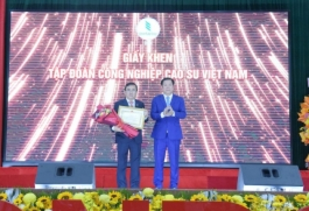 Lợi nhuận TCT Cao su Đồng Nai vượt kế hoạch 90%