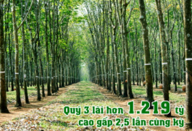 VRG - Quý 3 lãi hơn 1.219 cao gấp 2,5 lần cùng kỳ
